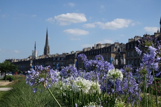 Bordeaux à Cœur, chambres d'hôte — 5/14